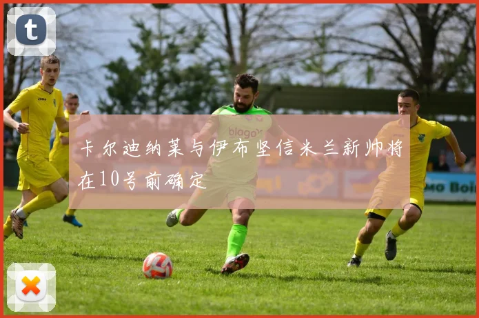 卡尔迪纳莱与伊布坚信米兰新帅将在10号前确定