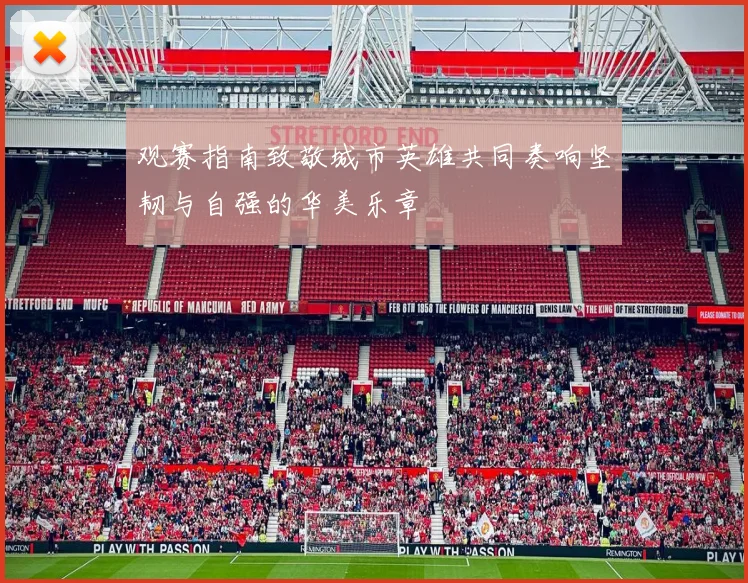 观赛指南致敬城市英雄共同奏响坚韧与自强的华美乐章