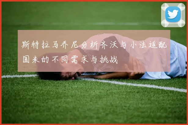 斯特拉马乔尼分析齐沃与小法适配国米的不同需求与挑战